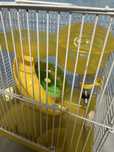 Gaiola hamster pequena