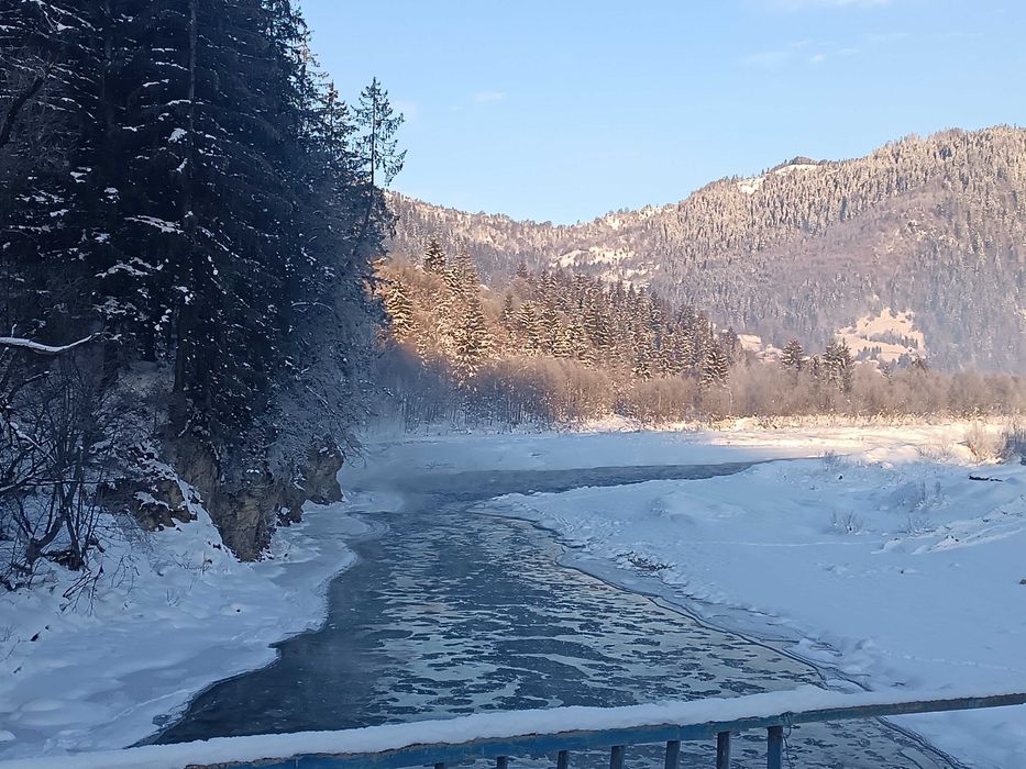 Відпочинок у Карпатах. Садиба "Гірська роса".