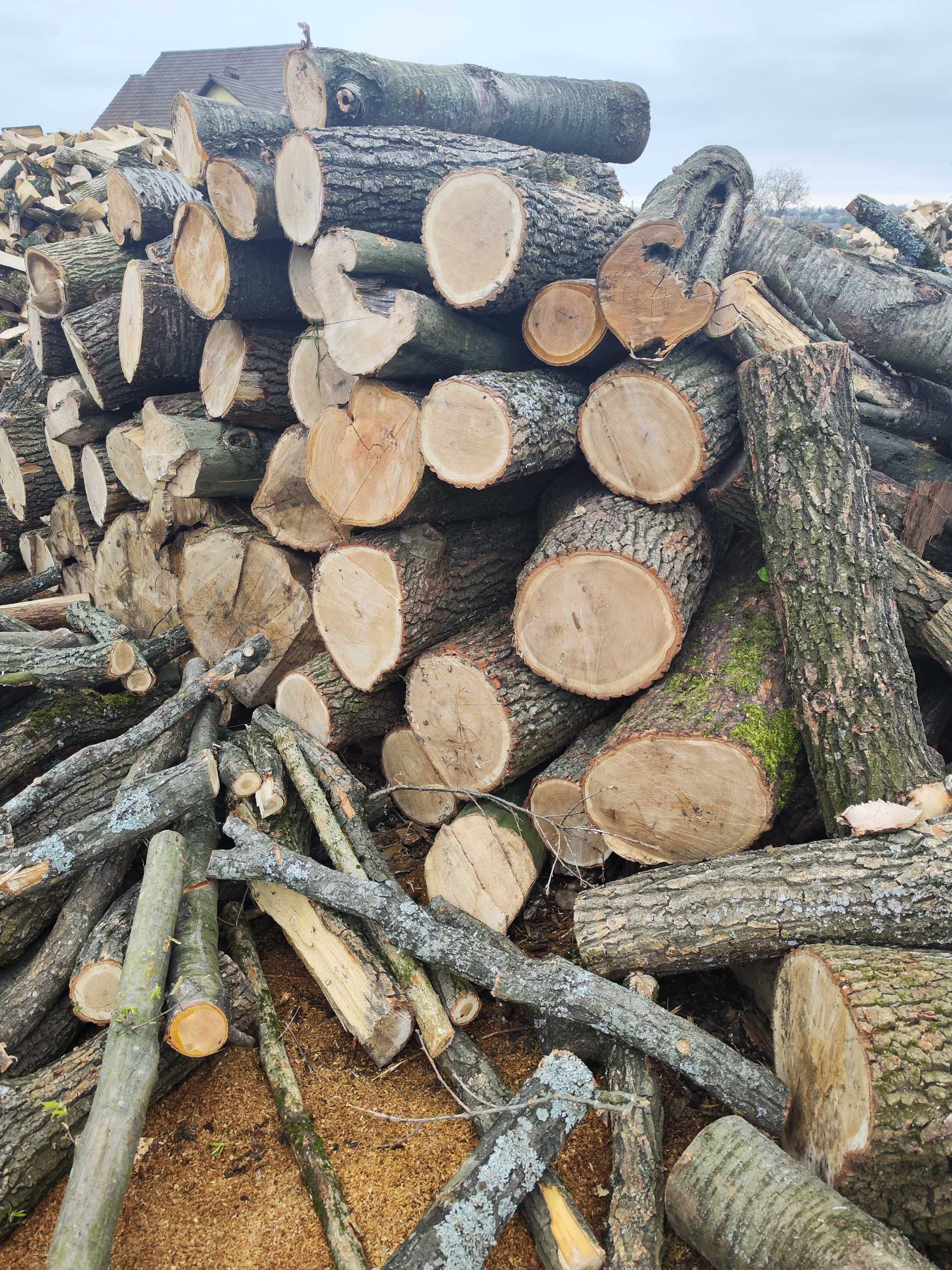 Замовляйте дрова в Одесі: зекономте гроші та готуйтеся до зими