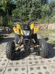 Quad bashan 250