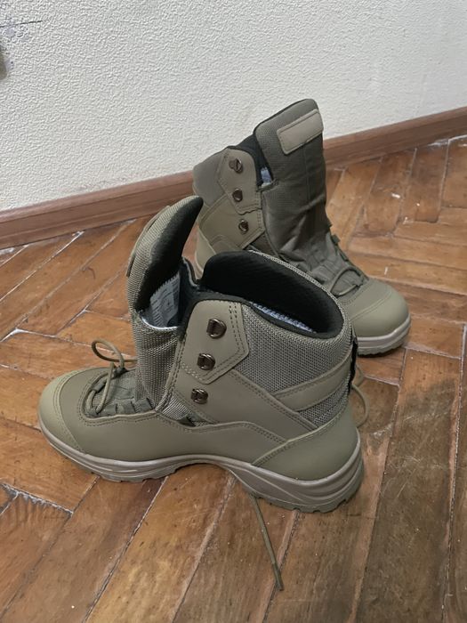 Берци талани 42 койот