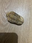 Pedras preciosas encontradas na amazonias , praia,acores, italia ,russ