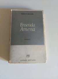 Enseada Amena, de Augusto Abelaira