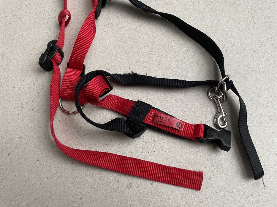 Szelki Halki treningowe Front Control M