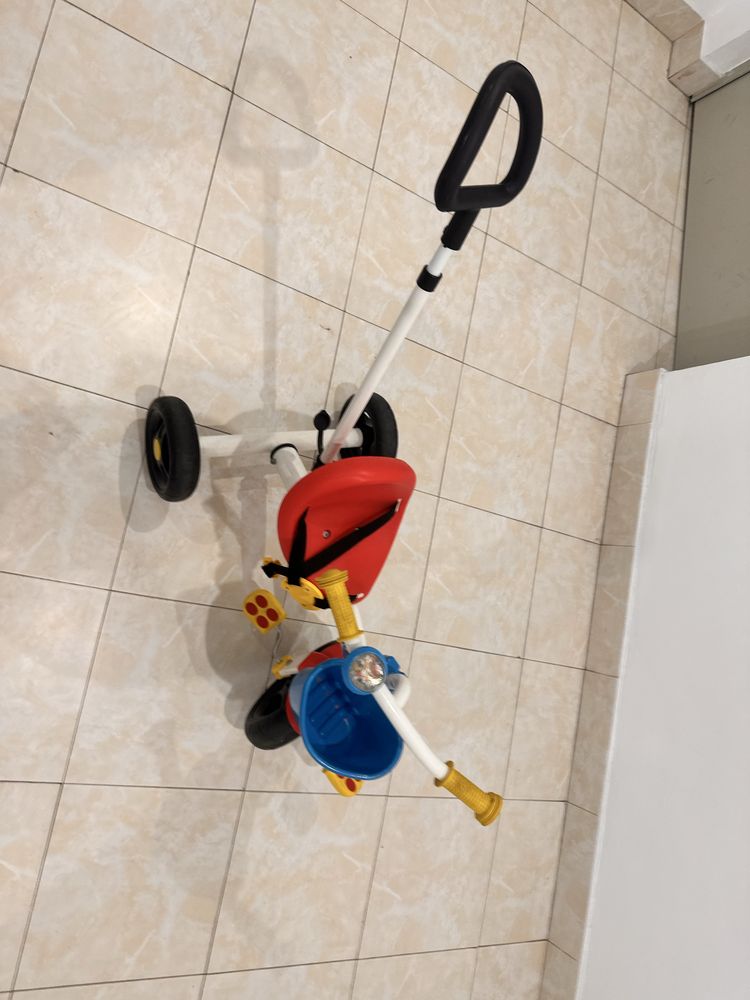 Triciclo da chico
