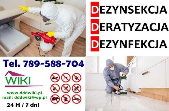 Pluskwy, Prusaki, Karaluchy, Mrówki, Karaczany ZWALCZANIE - Ozonowanie