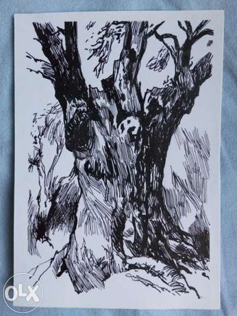 Desenho Ilustração original aparo e tinta da china - tronco de árvore