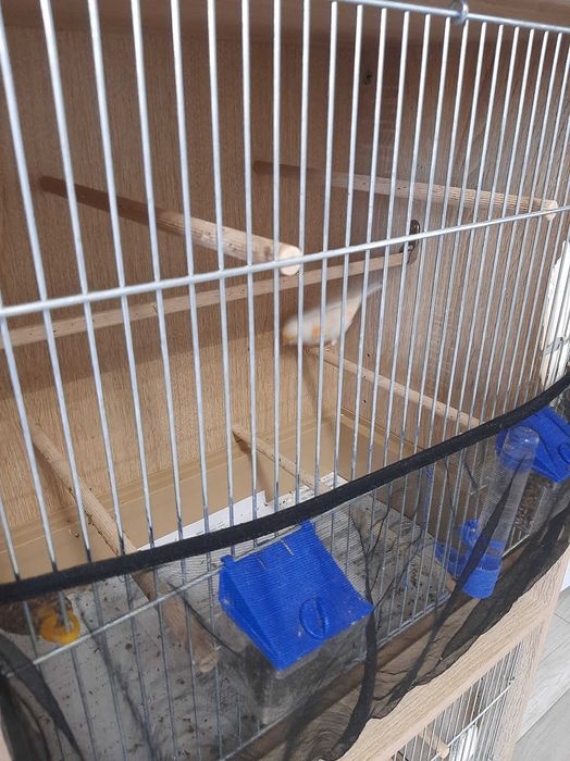 Regał woliera klatka dla ptaków ptak kanarek akcesoria wyposażenie