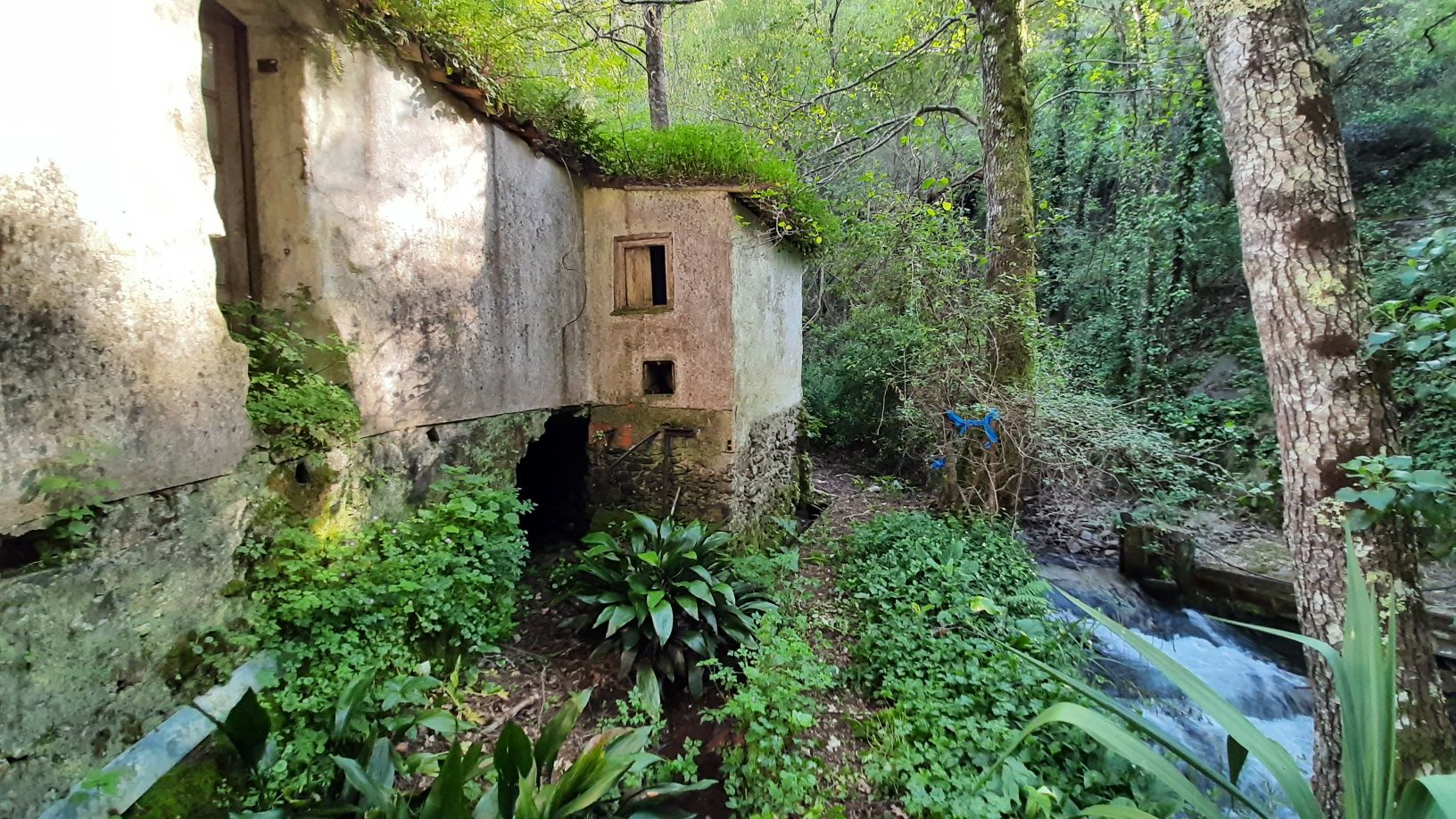 Quinta em Tróia com Cascata