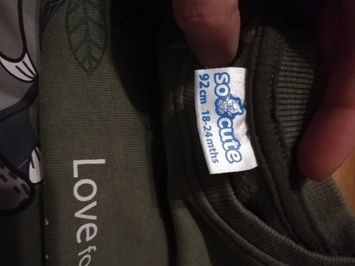 Bluza chłopięca z leniwcem