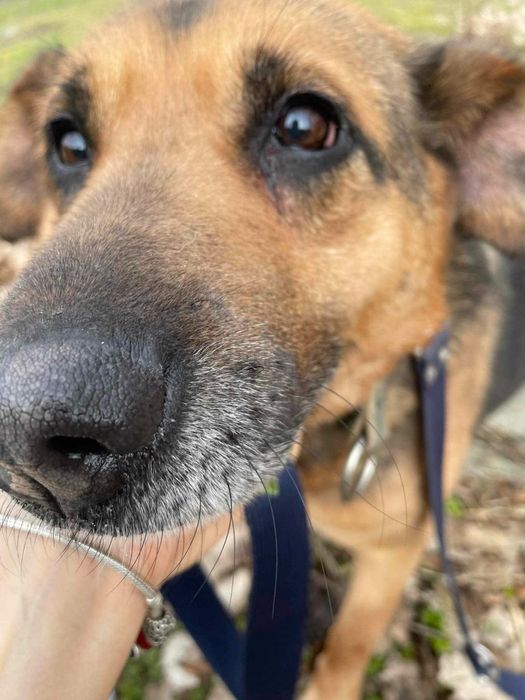 Sunia -  lek na całe zło