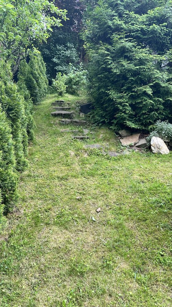 Działka w ROD Zloty Potok Lipnik, 220 m kw