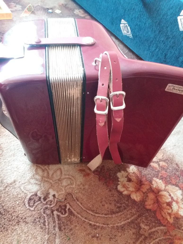 Akordeon Hohner Starlet 40 basów