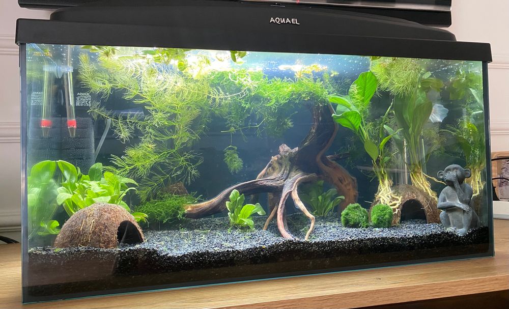 Akwarium Aquael 54L z calym wyposazeniem i chemią