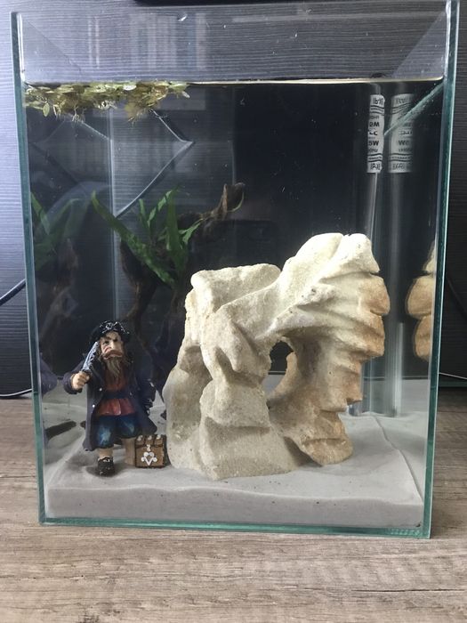 Akwarium kostka krewetkarium 10l