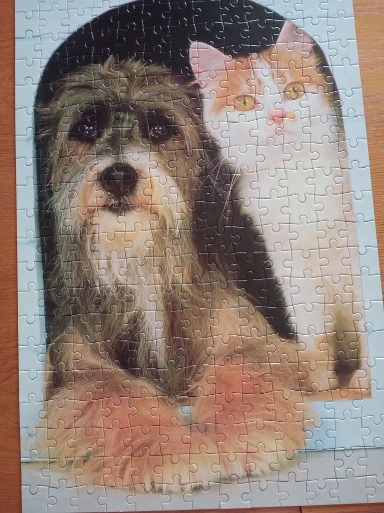 Puzzle Trefl 260 pies i kot