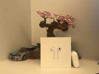 Apple Airpods 2gen