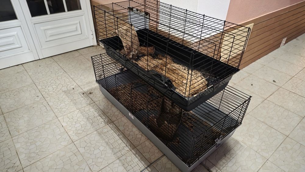 Caixa para coelhos