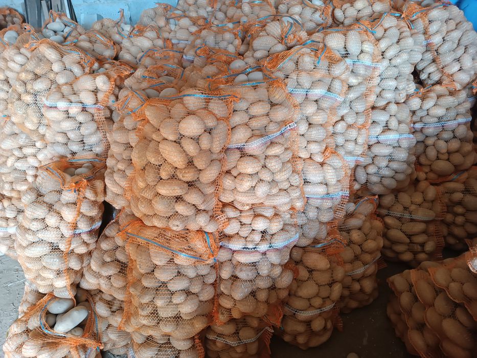 Ziemniaki Soraya, Denar.