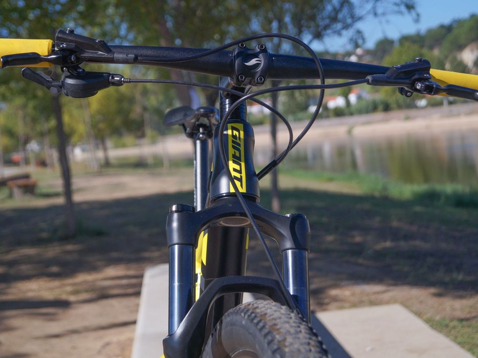 Bicicleta BTT Giant Anthem 29, suspensão total