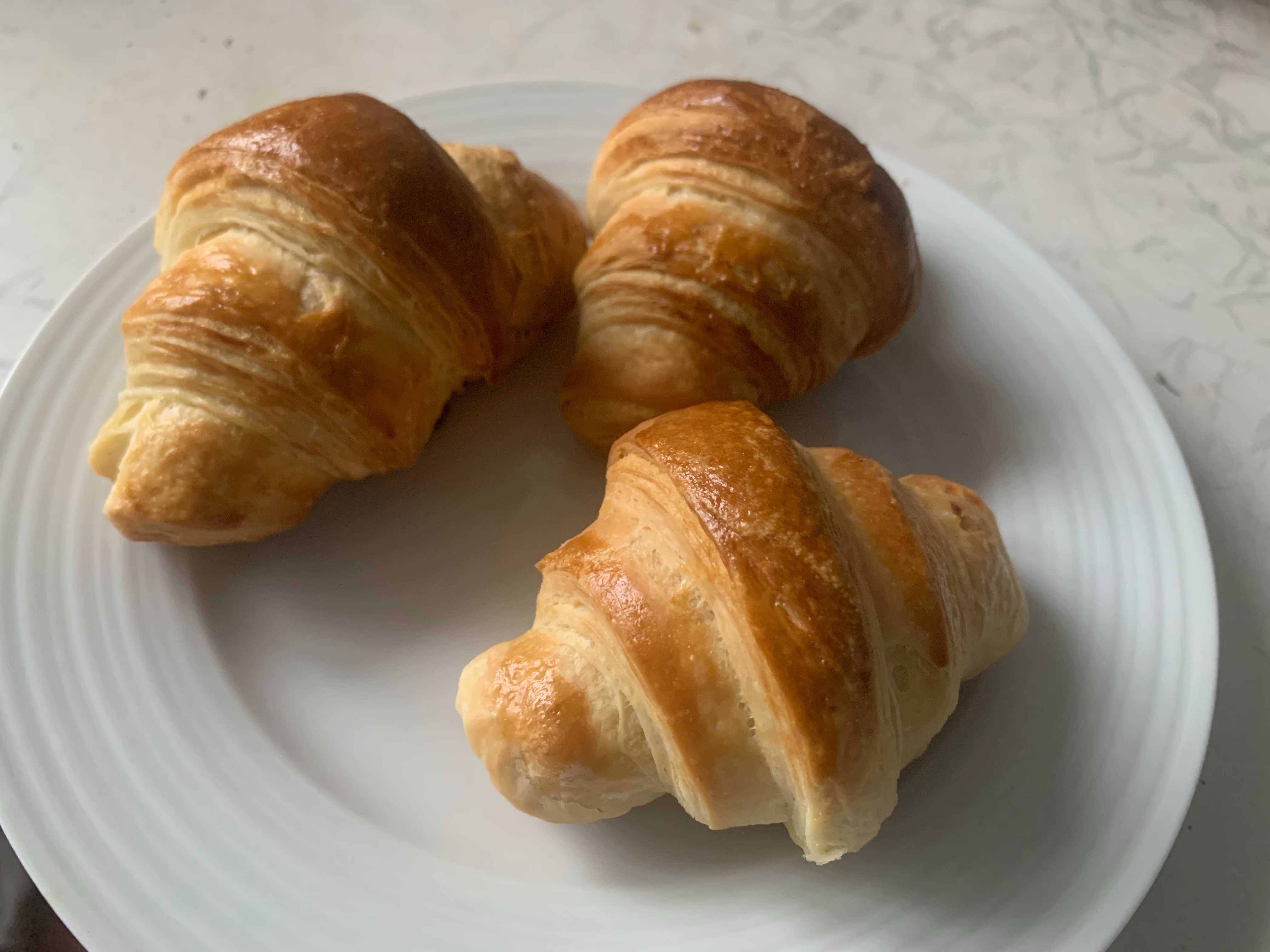 продам закваску ржаную и левито мадре(пшеничная).
