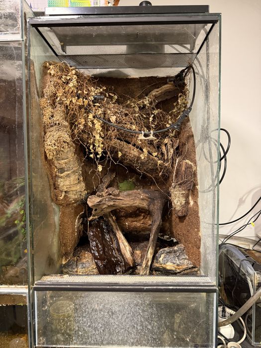 Terrarium 45x45x100 z wystrojem