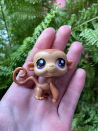 LPS Littlest pet shop małpka #56