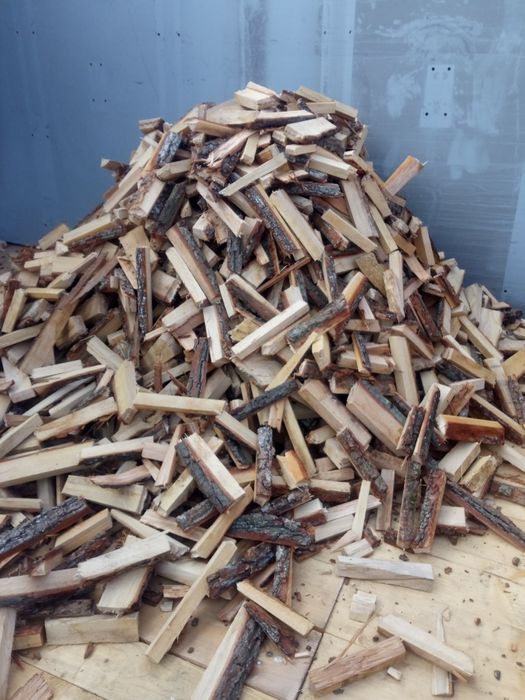 Pocięte zrzyny dębowe