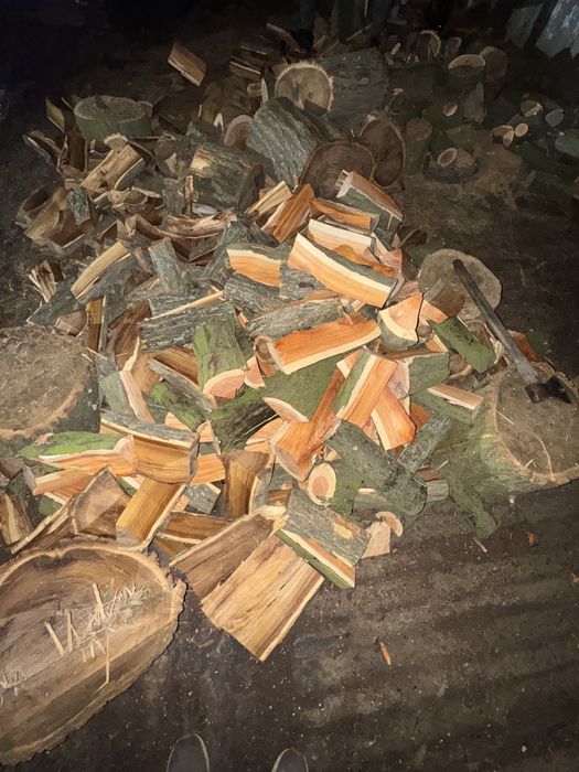 продожа дрова акация