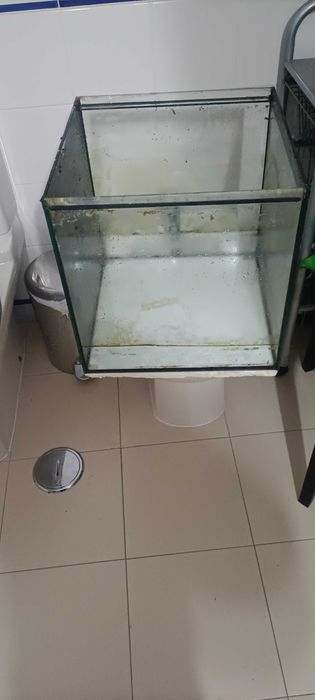 Aquariofilia, venda total por fim de Hobby