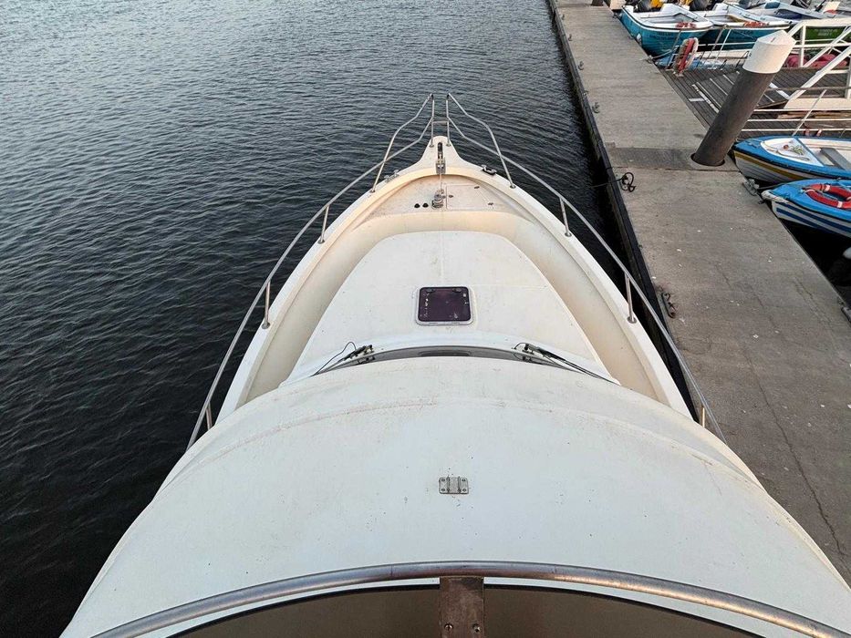 Barco Rodman 1170 IPS