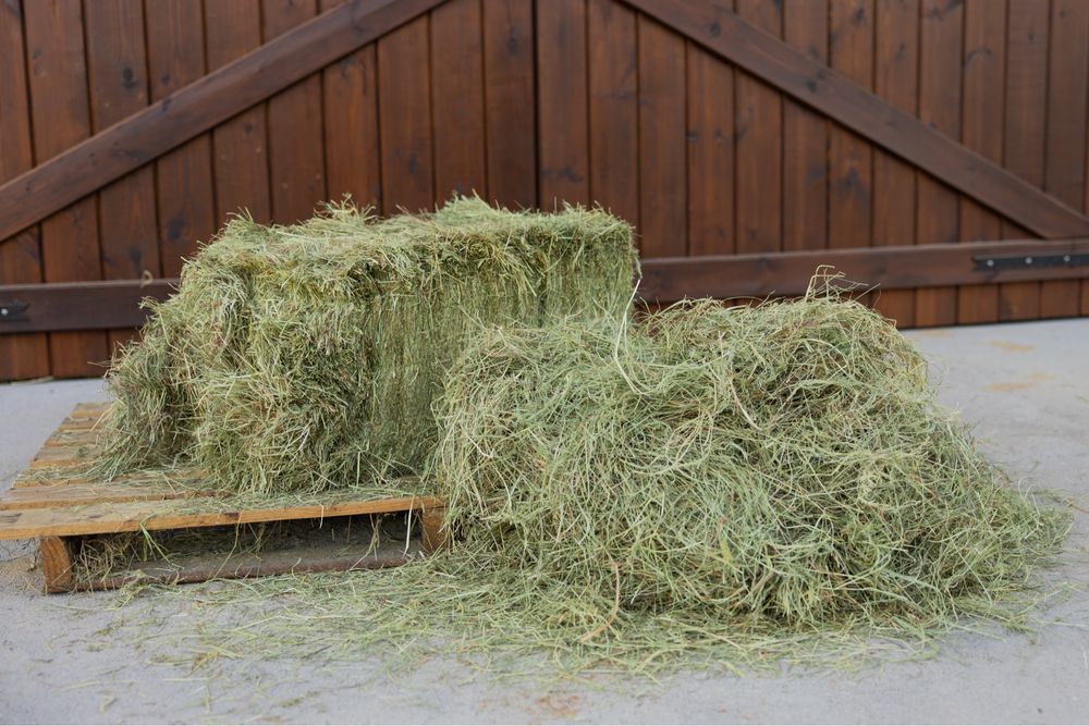 Feno Francês de Alta Qualidade – Fardos de 24 kg extra prensados