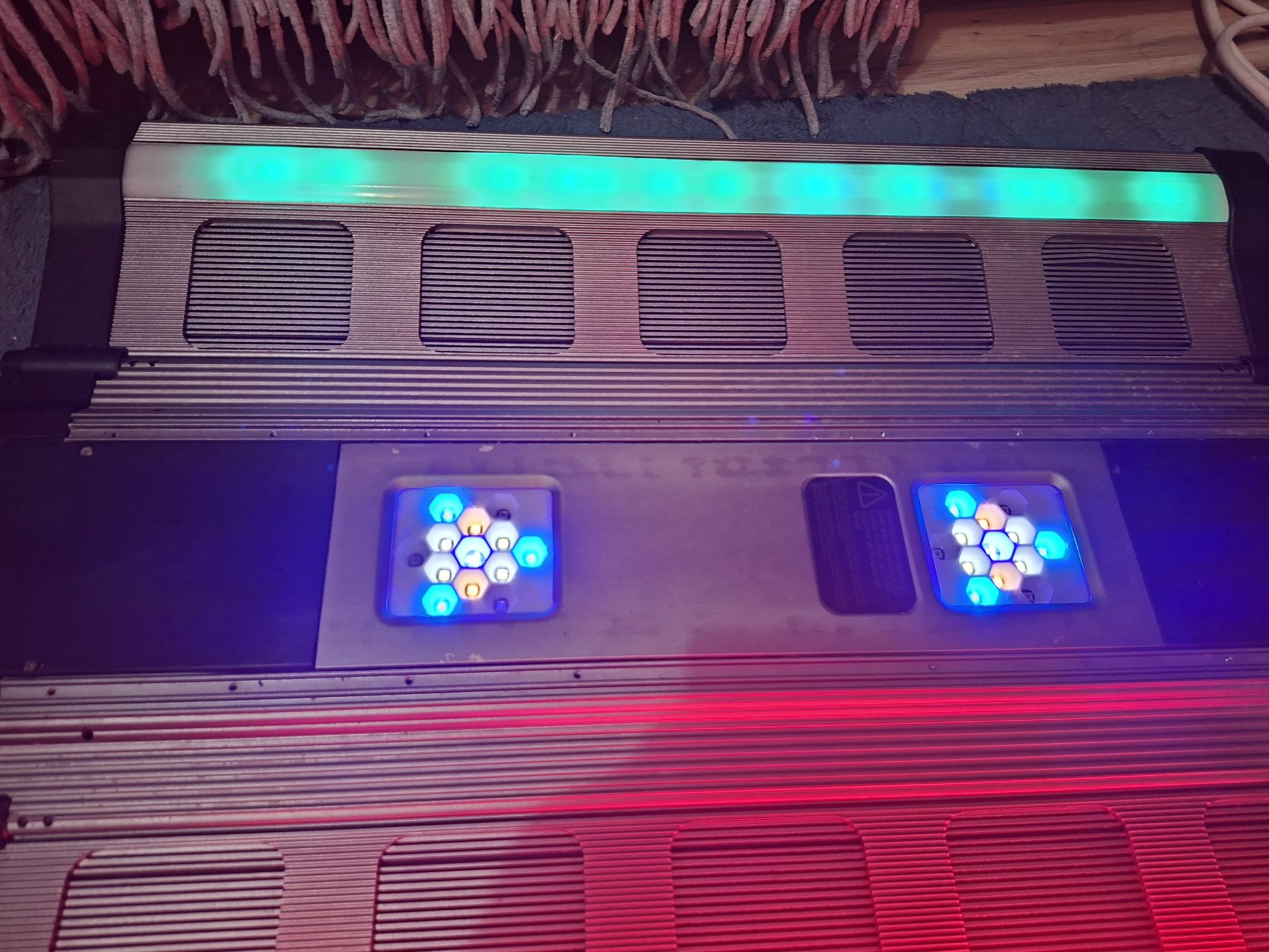 Maxspect recurve R6 060 akwarium morskie