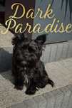 Black Yorkshire Terrier Reproduktor