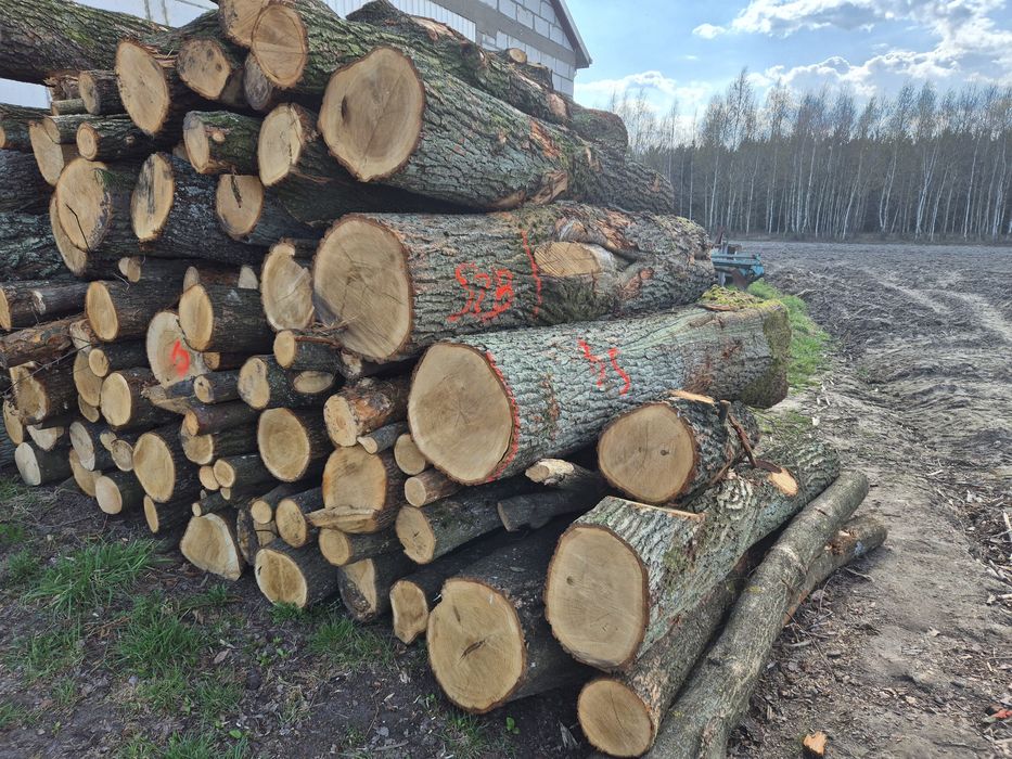 Drewno dąb, opał dębowy ładny,suchy