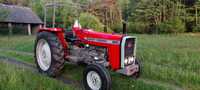 Massey Ferguson 260 ogrinał