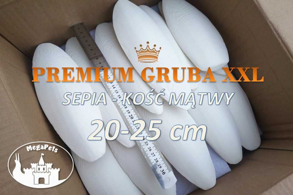 Sepia Kość mątwy PREMIUM XXL Lissachatina Papugi