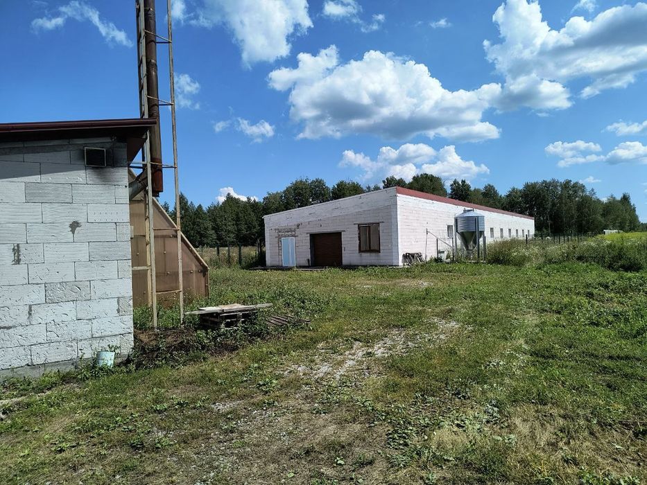 Ферма для вирощування птиці.