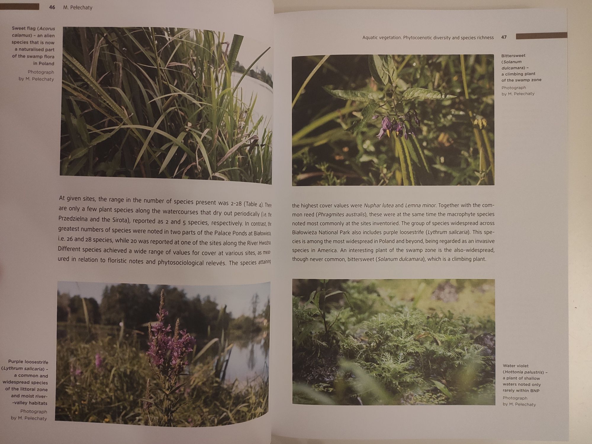 The Aquatic Ecosystems of Białowieża National Park