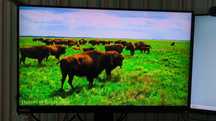 2К IPS Монітор 24" Lenovo ThinkVision E24q-20