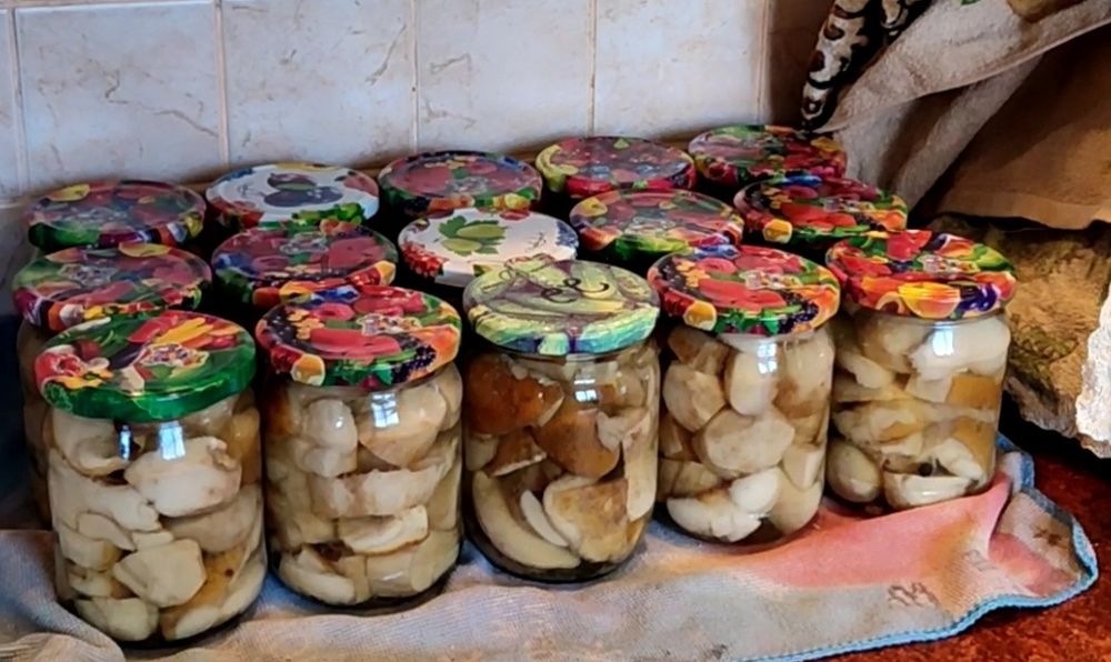 Мариновані Білі гриби сухі Білі гриби Лисички