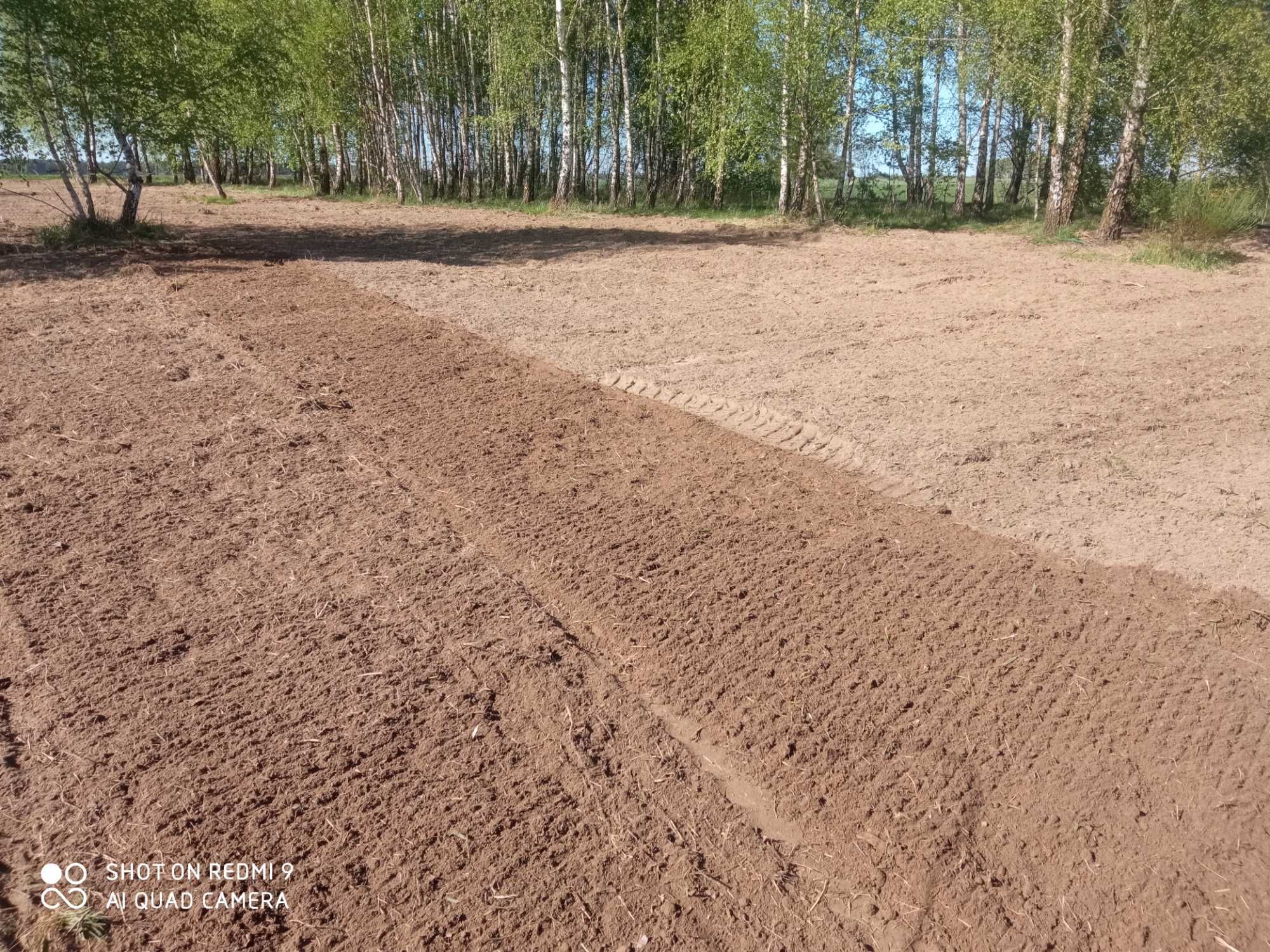 Usługi glebogryzarka separacyjna - miniladiwarka Avant