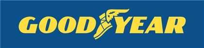 Nowe opony letnie GOODYEAR EFFICIENTGRIP Performance 2  205/55R16 91V