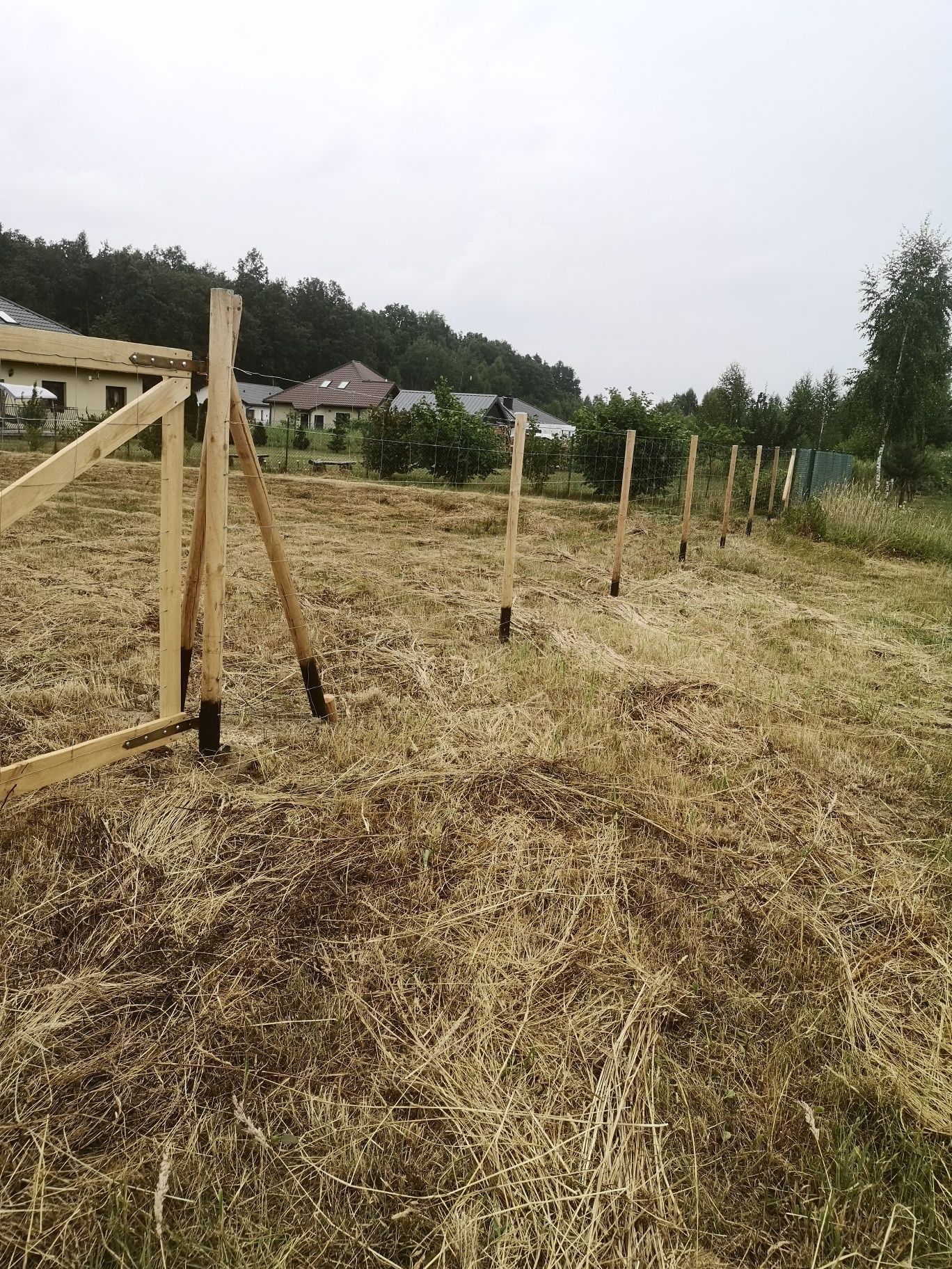 Ogrodzenie budowlane, ogrodzenie tymczasowe, ogrodzenie leśne