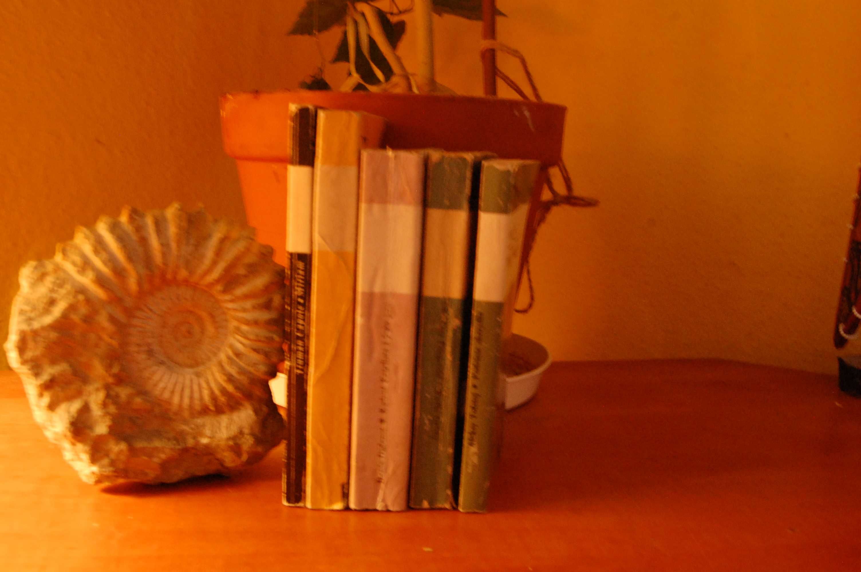 Faulkner, Capote,Diderot,Tołstoj,Fitzgerald- Duża czcionka PRL.