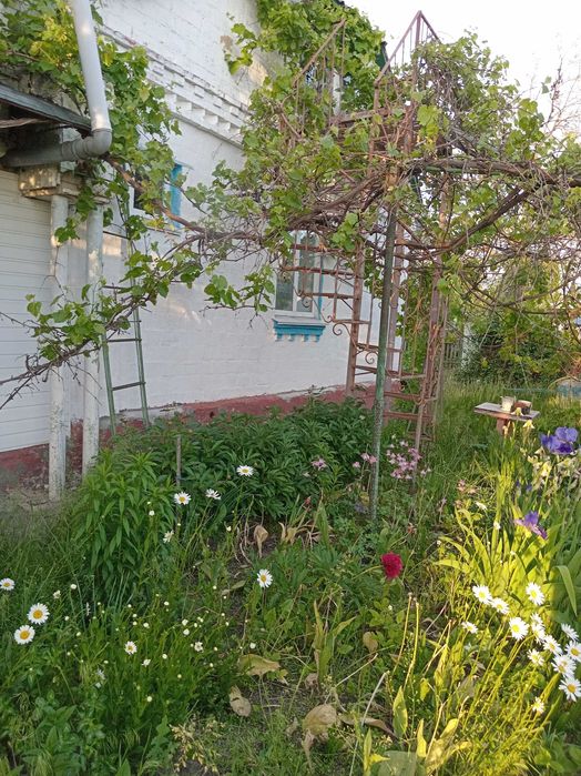 Продам будинок в Баришівці в районі вулиці Володимира