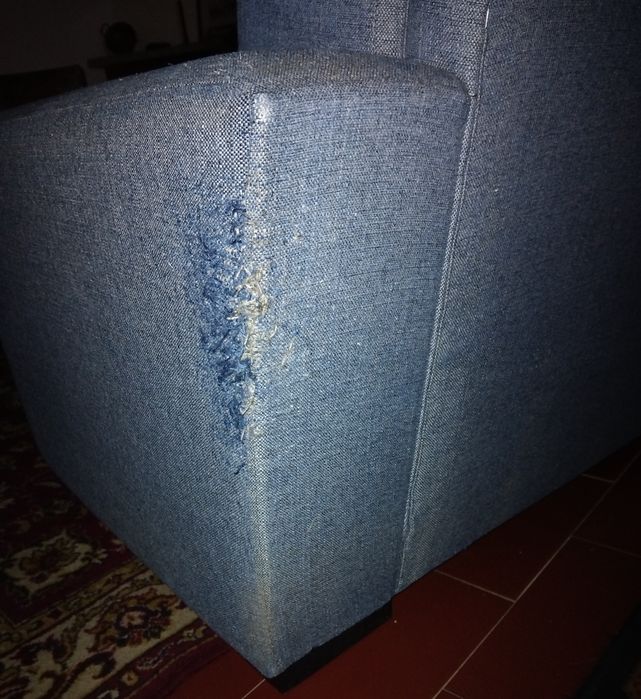 Sofá cama de cambbalhota