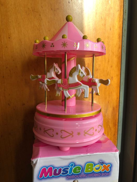 Carrossel musical novo