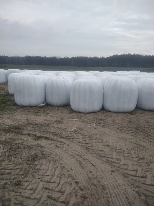 Sprzedam bele sianokiszonki i suche siano bardzo dobrej jakości