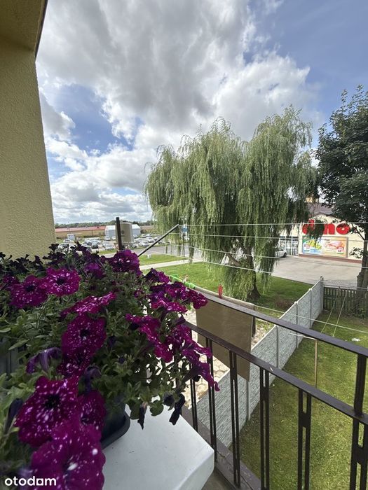 DWUSTRONNE / 1 piętro / 48,94 / balkon / sieć miejska / 0 % prowizji